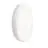 Philips LED-Wand- und Deckenleuchte CoreLine WL200V Weiß 13W 500lm - 830-840 CCT | 220mm - IP65