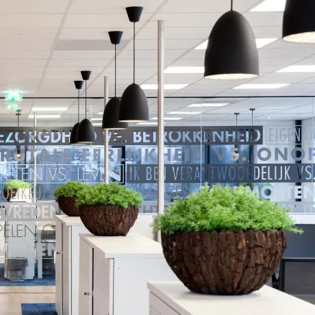 DALI Lichtsteuerung im Büro