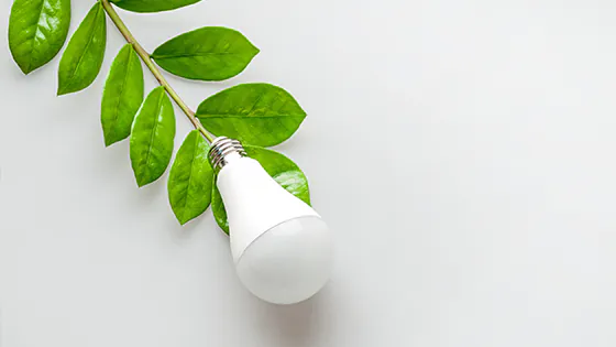 LED-Lampe mit Pflanze
